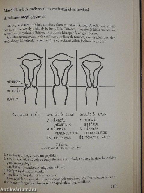 A természetes családtervezés művészete