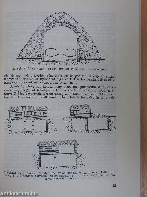 Népismereti dolgozatok 1981