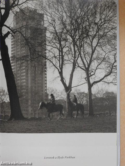 Albion köd nélkül