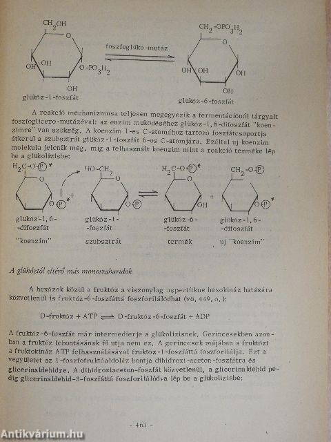 Biokémia II.