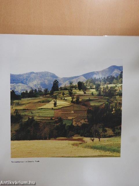 Ethiopia the beautiful