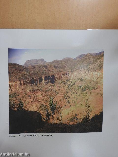 Ethiopia the beautiful