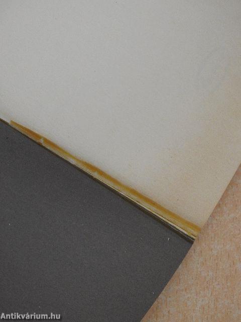 Historizáló építészet az Osztrák-Magyar Monarchiában