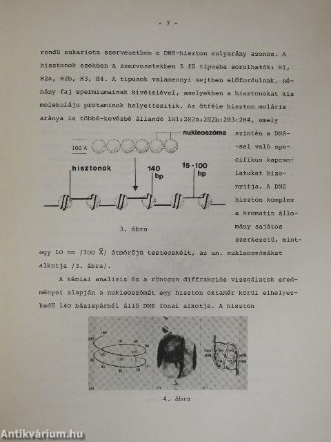 Biológia - FEB tábori segédanyag I.