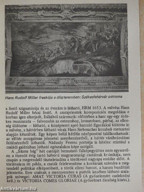 Sárvár - Nádasdy kastély