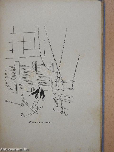 Az északi park felfedezése