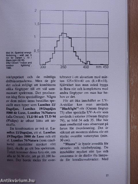 Korallrevsakvariet 1.