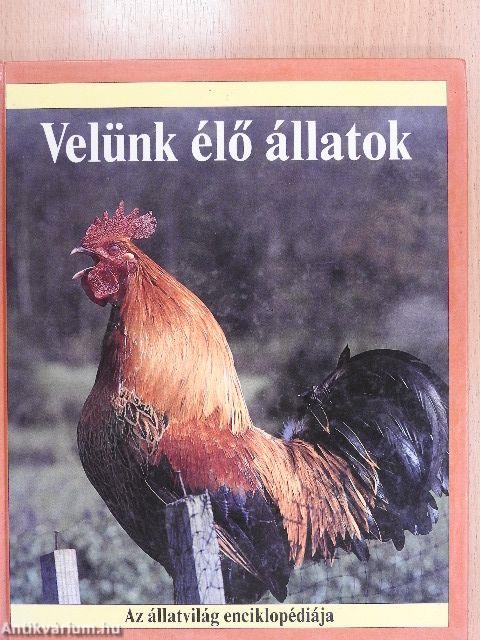 Velünk élő állatok