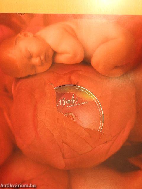 A születés csodája/Miracle - DVD-vel