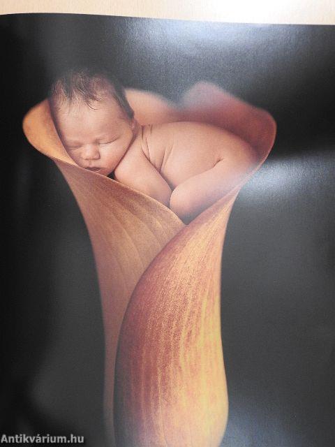 A születés csodája/Miracle - DVD-vel