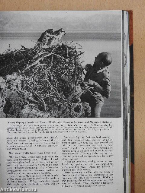 The National Geographic Magazine January-March 1951. (negyed évfolyam)