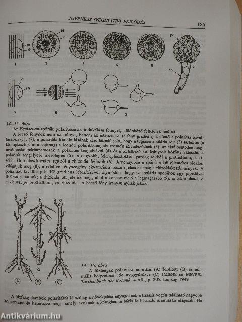 A növények élete II.