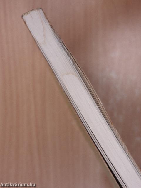 Themen 1 - Kursbuch/Arbeitsbuch