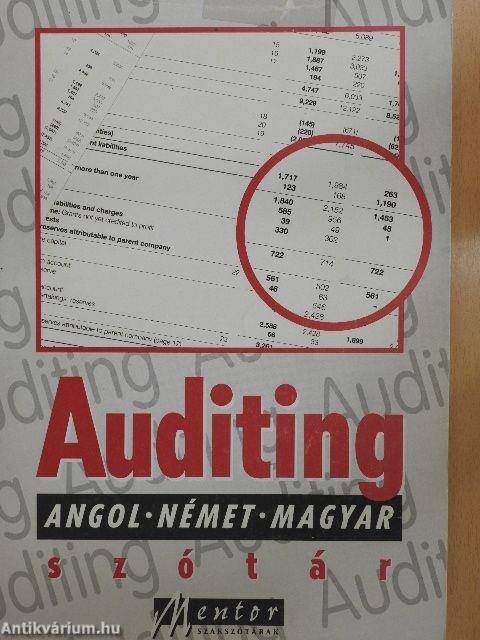 Auditing szótár