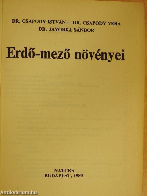 Erdő-mező növényei