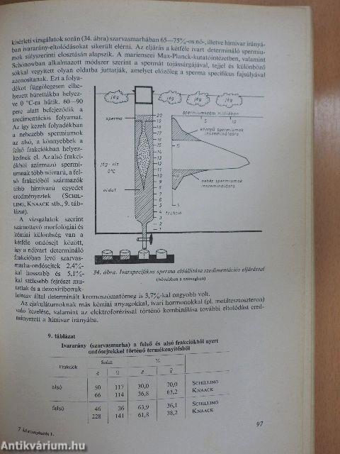 Állattenyésztés 1.