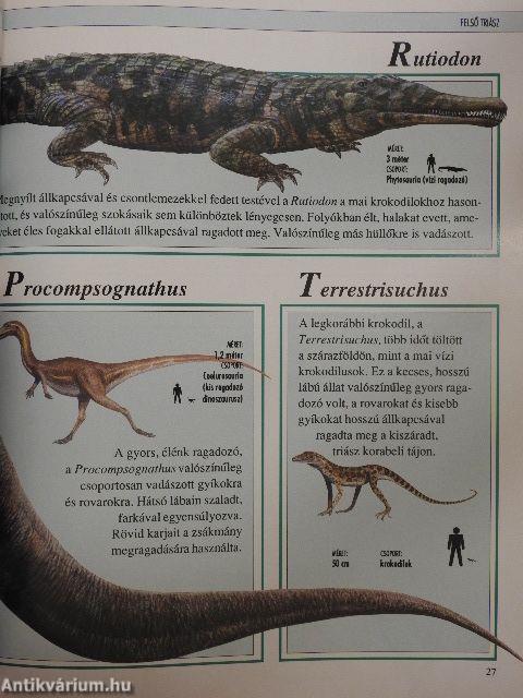 Dinoszaurusz gyermekenciklopédia