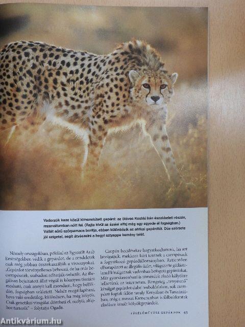 National Geographic Magyarország 2012. november