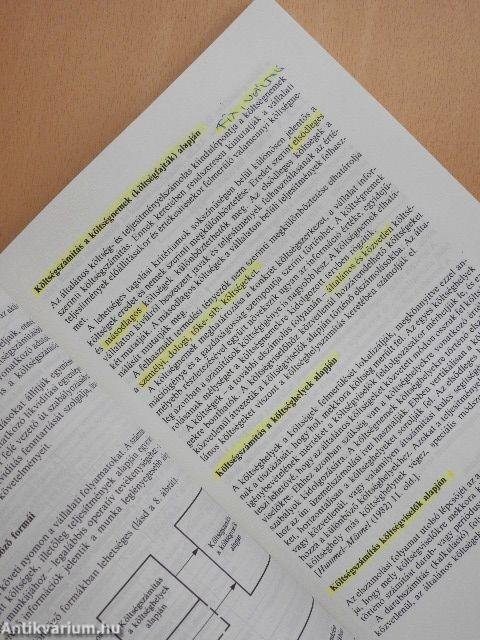 Controlling: a sikeres vezetés eszköze