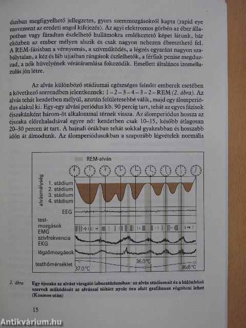 Horkolás