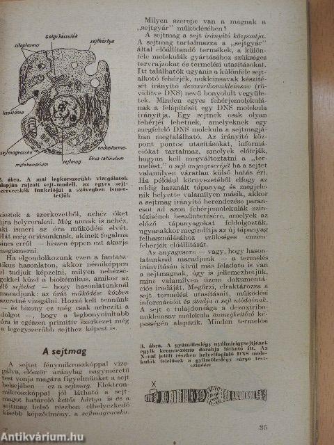 Élet és Tudomány Kalendáriuma 1966