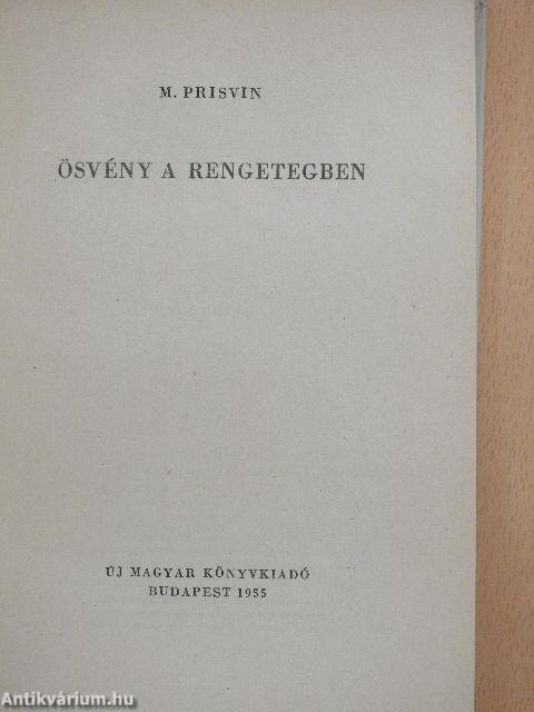 Ösvény a rengetegben
