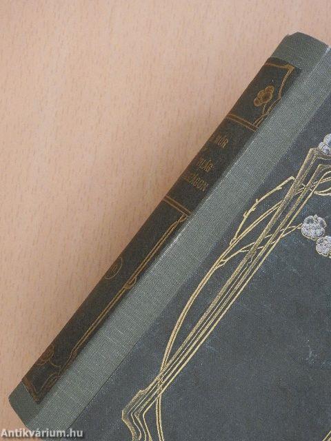 Török világ Magyarországon I-II.