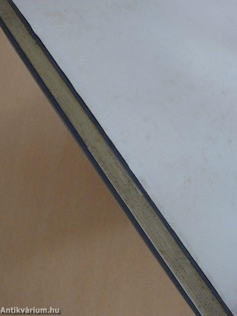 Egy festő portréja