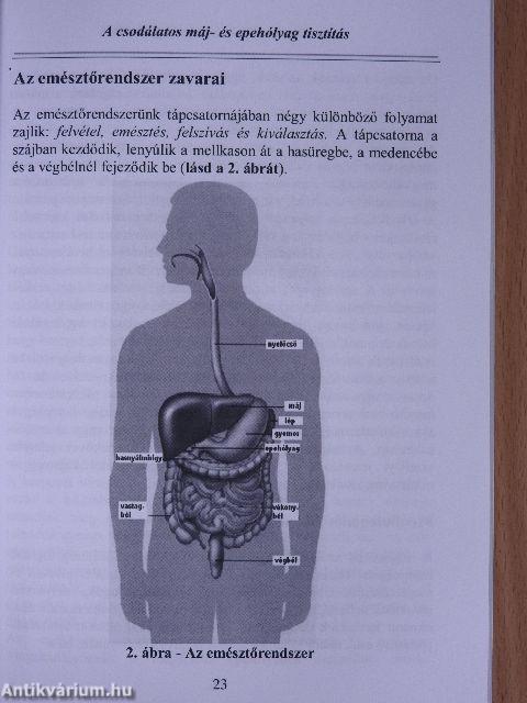 A csodálatos máj- és epehólyag tisztítás