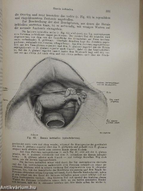 Lehrbuch der Chirurgie II.