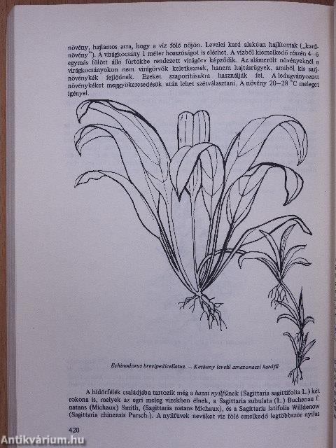 Az egri gyógyvizek és fürdők