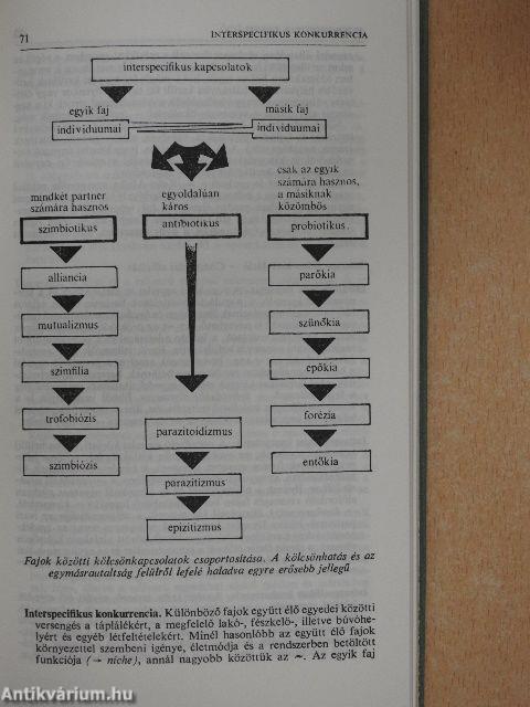 Ökológia kislexikon