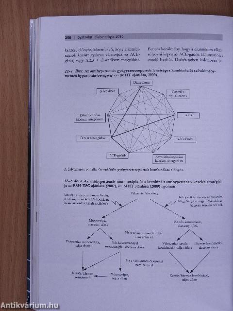 Gyakorlati diabetológia 2010