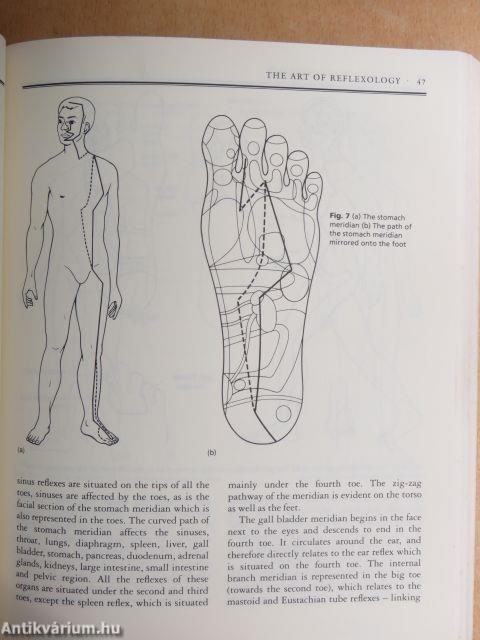 The Art of Reflexology