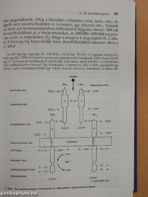 Diabetes mellitus