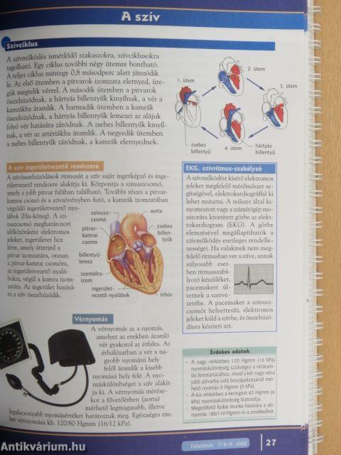 A varázslatos emberi test - Biológia