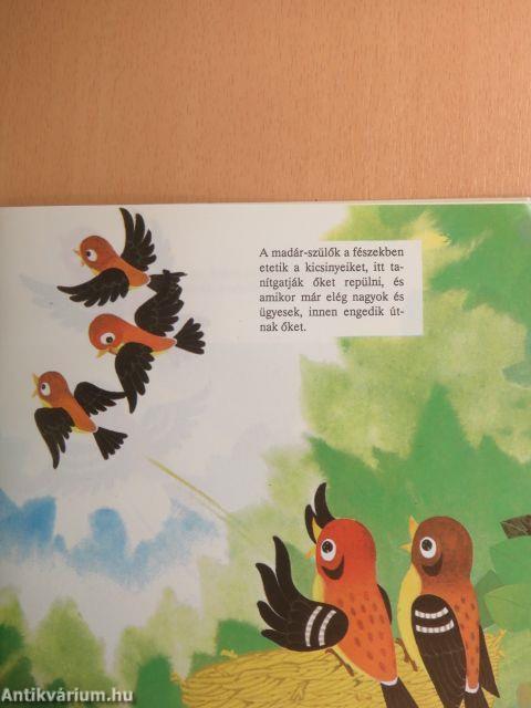 Hol fészkelnek a madarak?