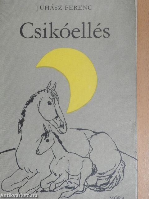 Csikóellés