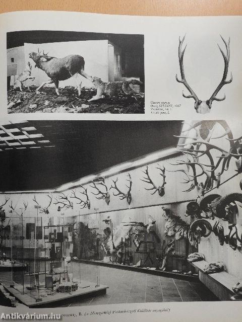 Vadászati Világkiállítás 1971.