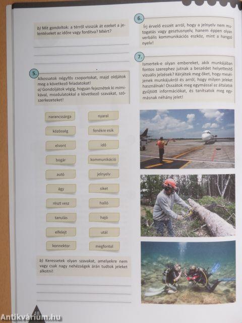 Magyar nyelv munkafüzet 11.