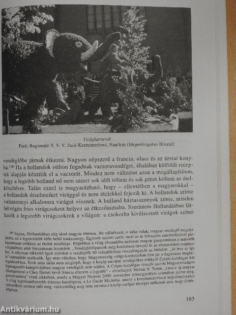 Magyar-holland találkozások