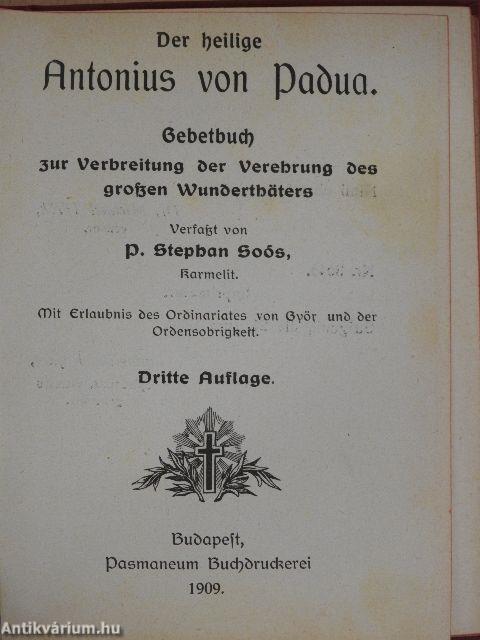 Der heilige Antonius von Padua (gótbetűs)