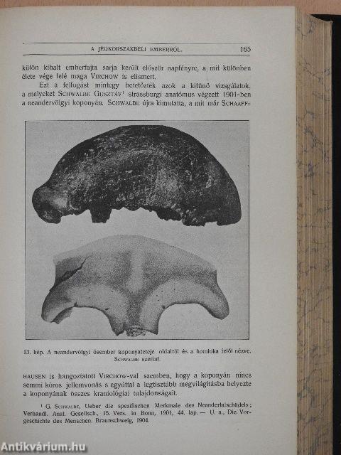 Természettudományi Közlöny 1912. január-december