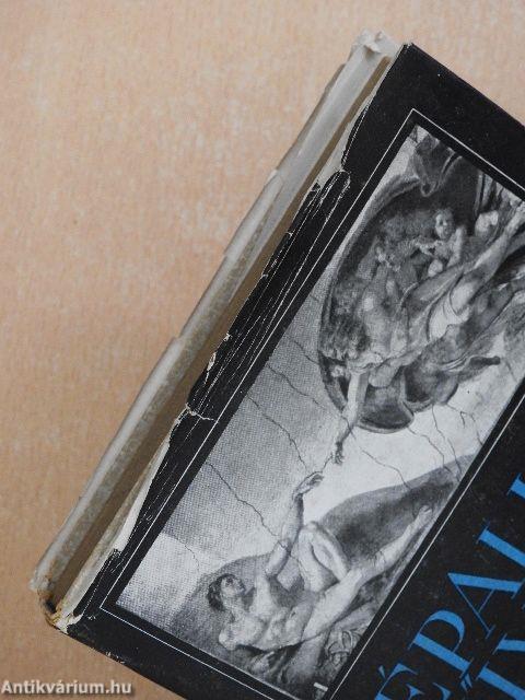 Képalkotó művészet