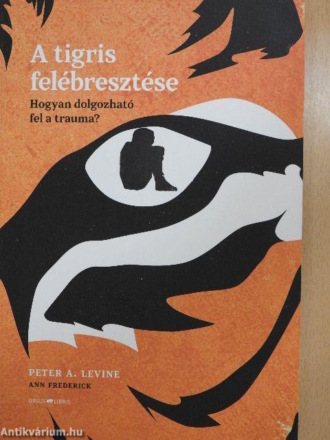 A tigris felébresztése