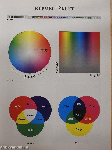 ECDL munkafüzet 6/A