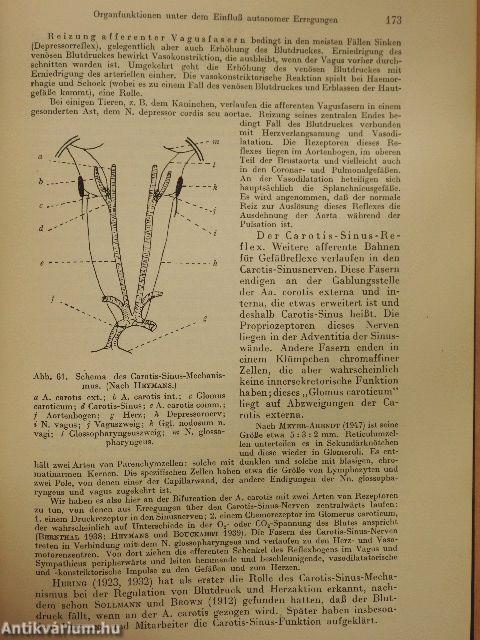 Die Leistungen des Nervensystems