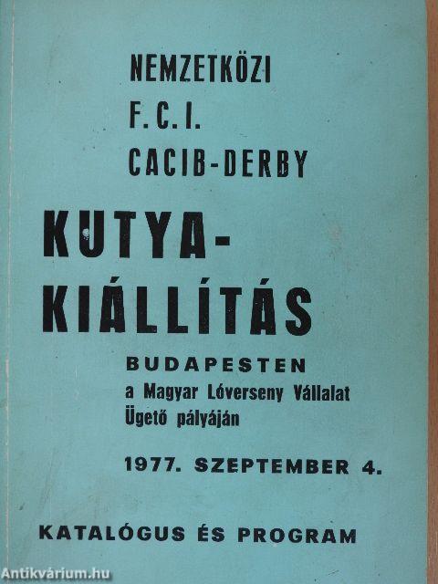 Kutyakiállítás Budapesten a Magyar Lóverseny Vállalat Ügető pályáján