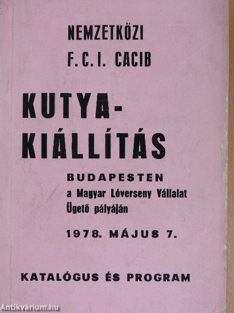 Kutyakiállítás Budapesten a Magyar Lóverseny Vállalat Ügető pályáján