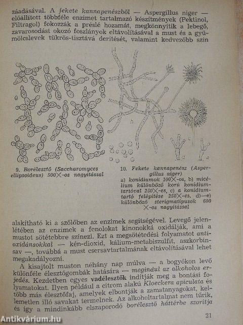 Kiegészítő a Biológia és munkavédelem c. tankönyvhöz